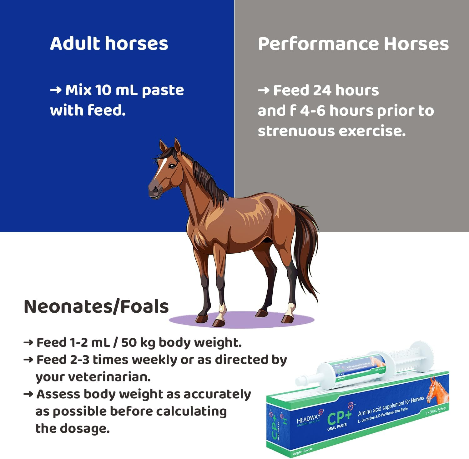 CP+ Amino Acid Oral Paste for Horses 60 Ml, L-Carnitine & D-Panthenol Oral Paste