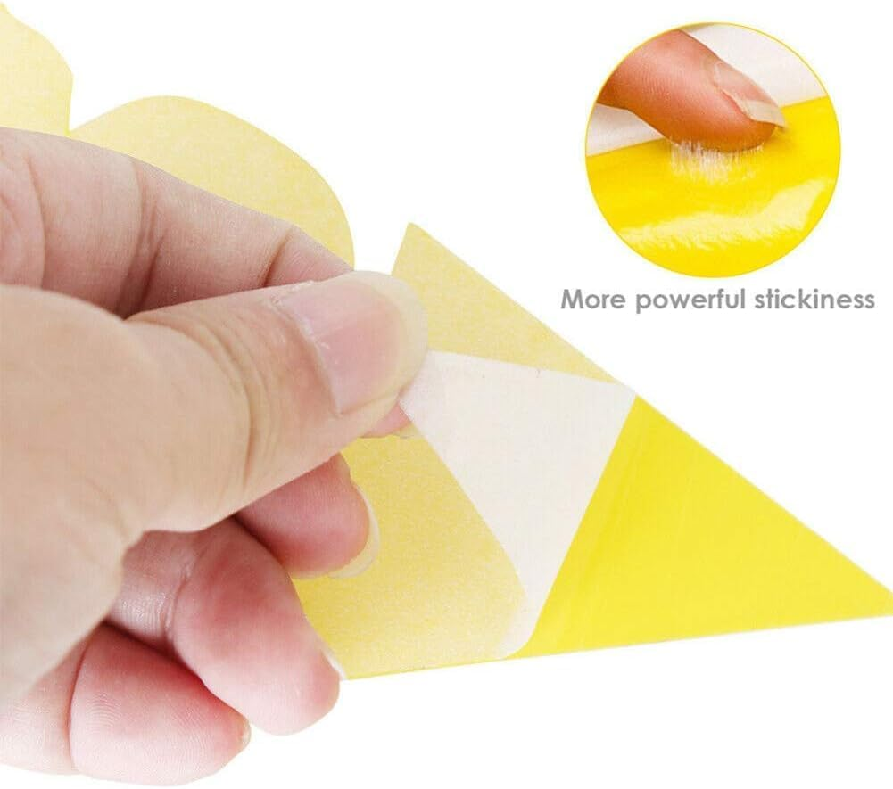 Weforu 60 Pack Sticky Fly Traps, Dual-Sided Yellow Sticky Traps, Portable Insect Traps for Flying Plant Insect Fungus Gnats, Mosquito Flies image number 1