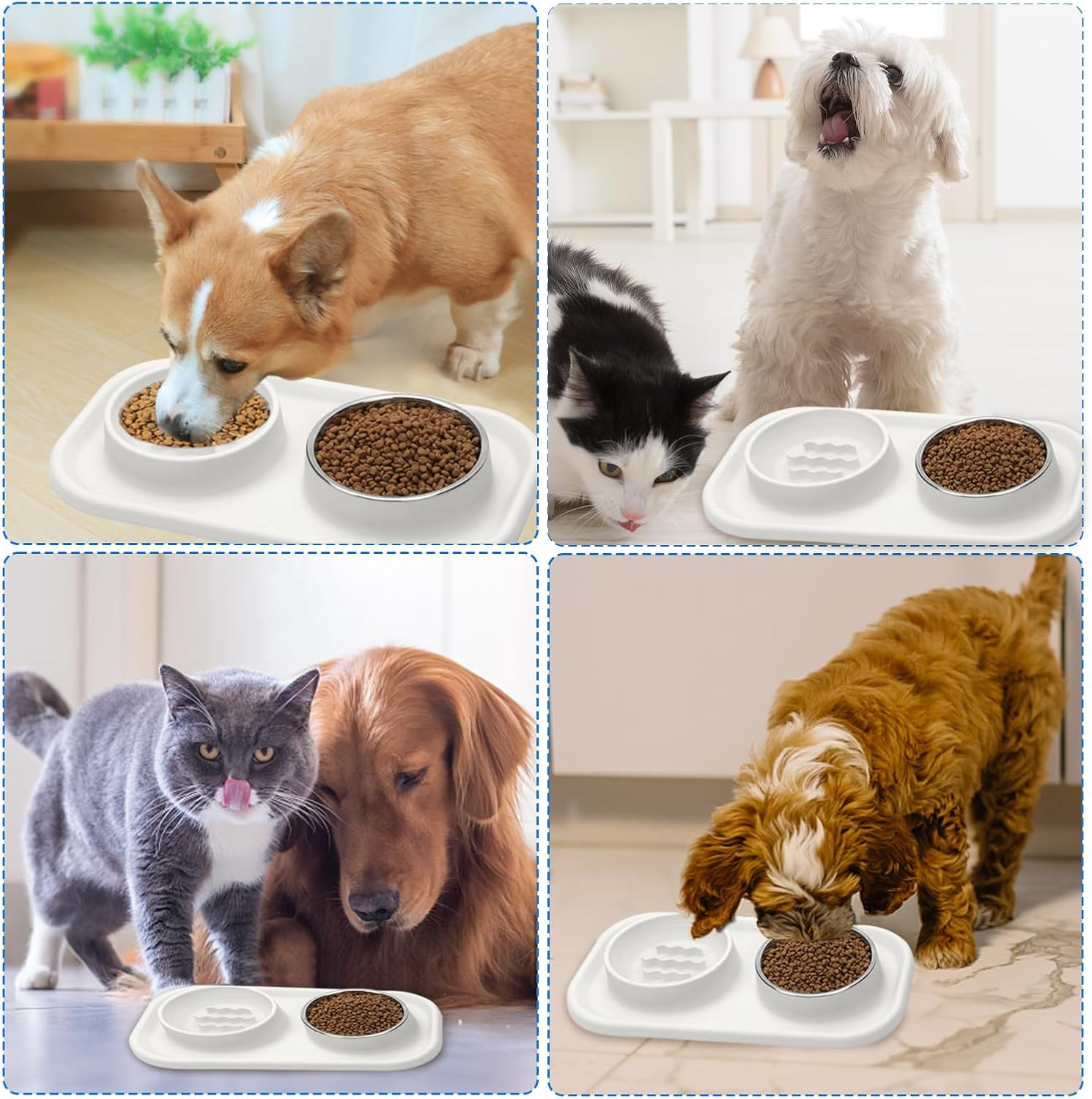 Cat Bowl, Food Bowl, Stainless Steel Bowl, Silicone Bowl, Travel Bowl, Pet Food, Water Bowl image number 4