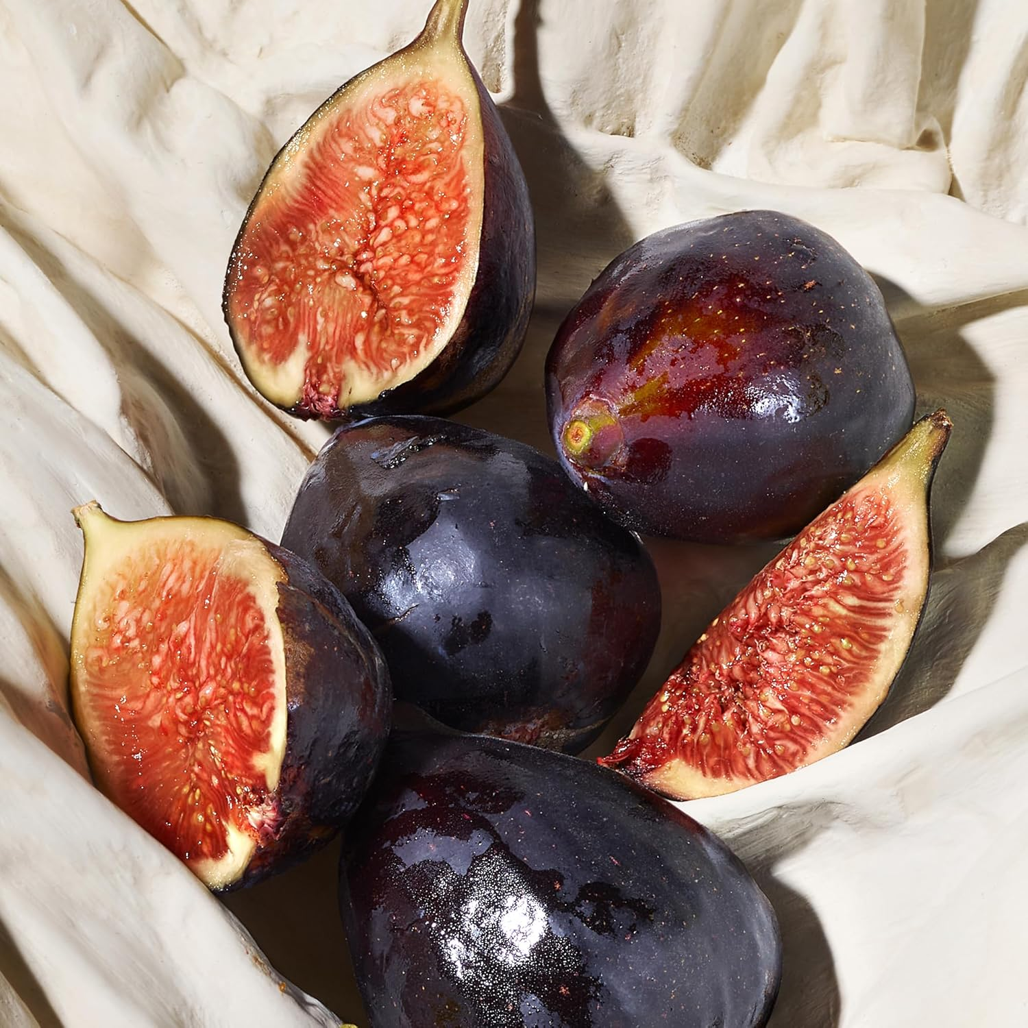 Dolce & Gabbana Women'S Blue Jasmine Eau De Parfum Spray 75 Ml image number 5