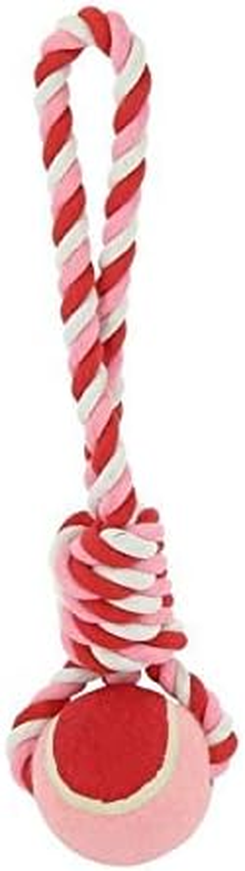 Ekkia/French Dog Ball Toy Diego & LOUANA Tennis Ball (Pink)