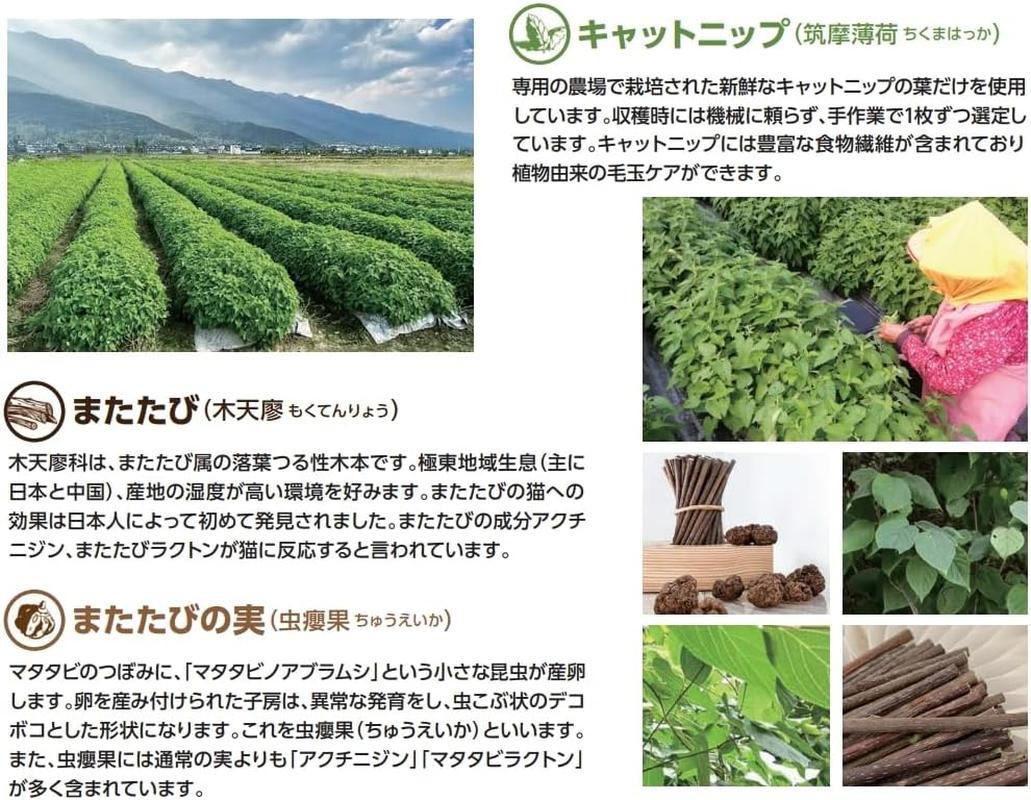 Pet Library CATWANT Catnip Cigar image number 4