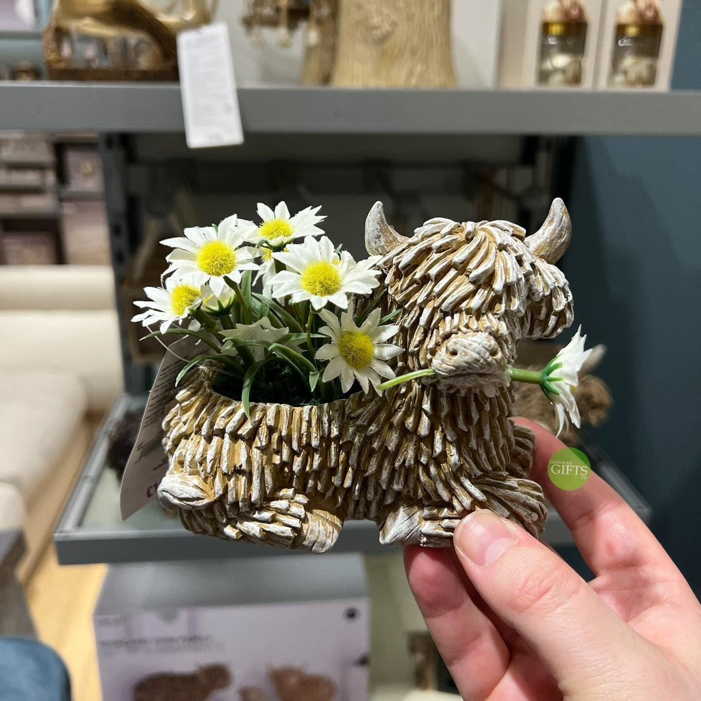 Highland Cow Planter for Outdoor Plants, Cute Scottish Decor Flower Pot,Resin Figurines Succulent Pots,Highland Cow Succulent Planters,Gifts for Women Men image number 1