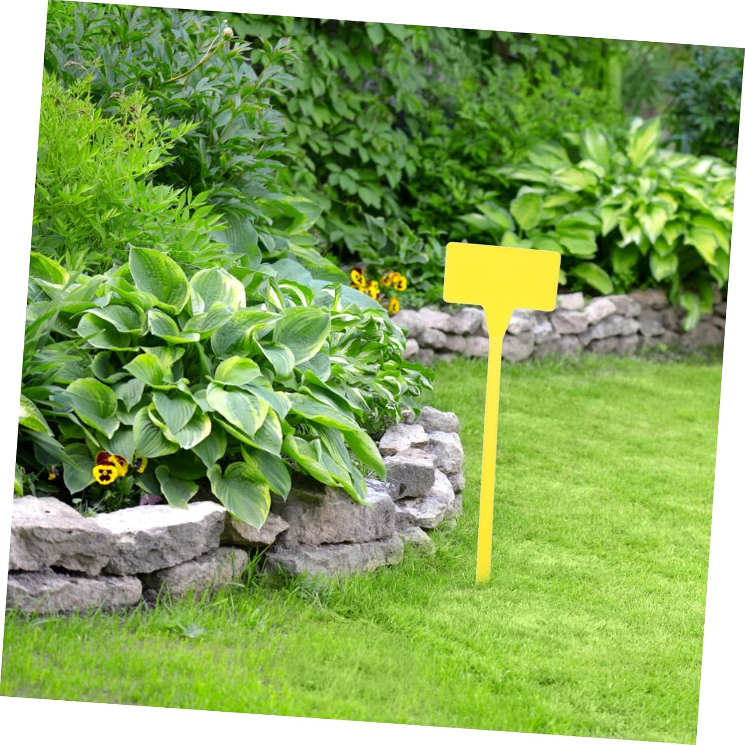 10Pcs Plant Labels Nursery Garden Tags Markers for Flower Plant Gardening Insert Card Re-Usable Small image number 1