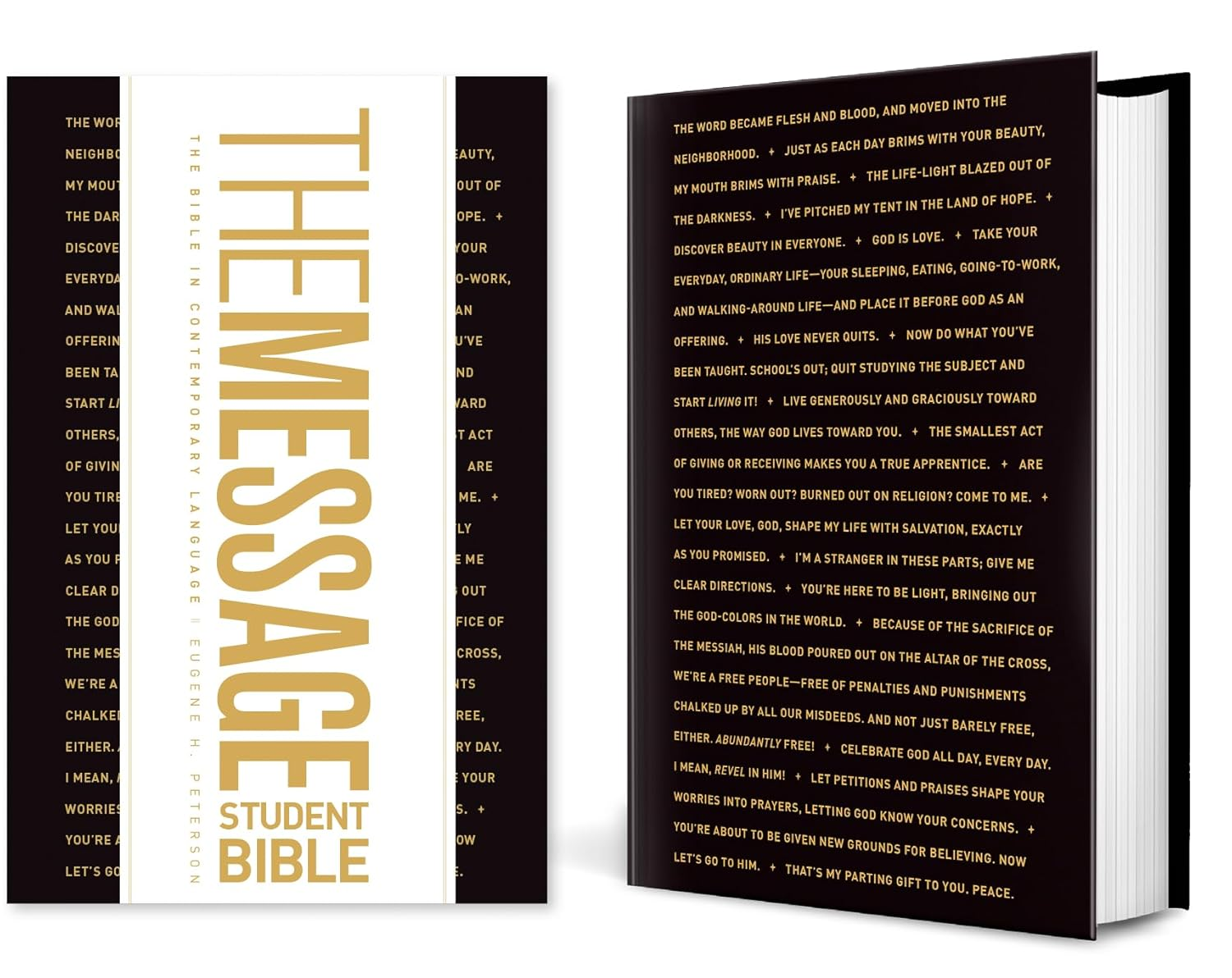 The Message Student Bible (Hardcover) image number 4