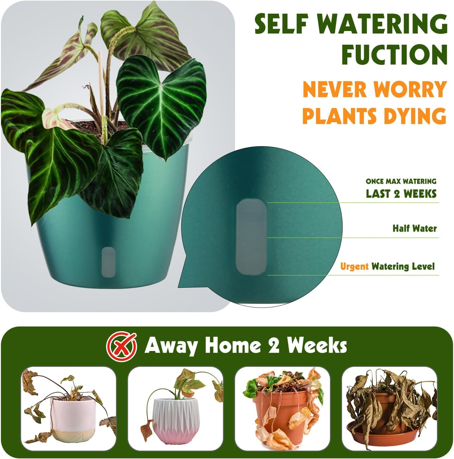 Kvyusflourish 4-Pack 6.7'' Self Watering Pots Indoor Plants Indicator,Orchid Pot Transparent Wick Pot Orchids,Small African Violet Pot African Violet,Self-Watering Planter Plants KF2273 Blue Gold image number 6