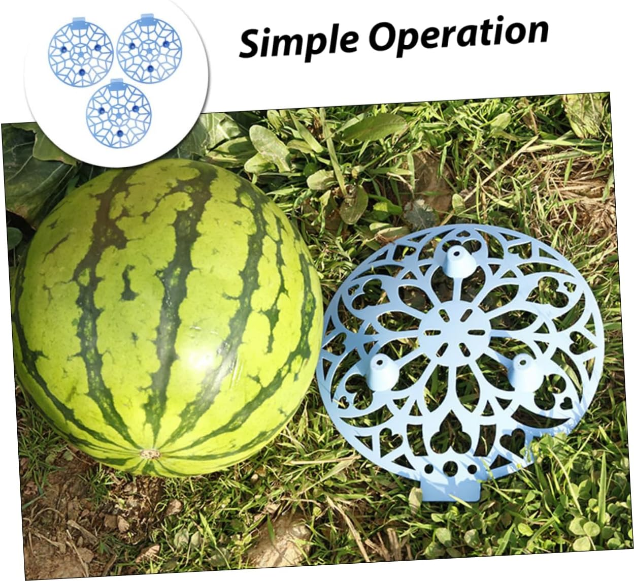 FONDOTIN 3Pcs Fruit Tray Corrosion Plastic Support Tray for Gardening and Fruit Storage No Installation Required