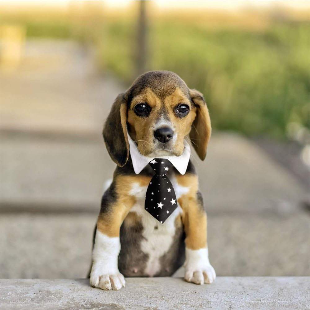 Voarge Dog Tie, Adjustable Dog Collar with Velcro Fastening, Pets Wedding Bow Tie, Formal Puppy Bow Tie, Tuxedo Collar Costume Tie (Yellow Chequered, L) image number 1