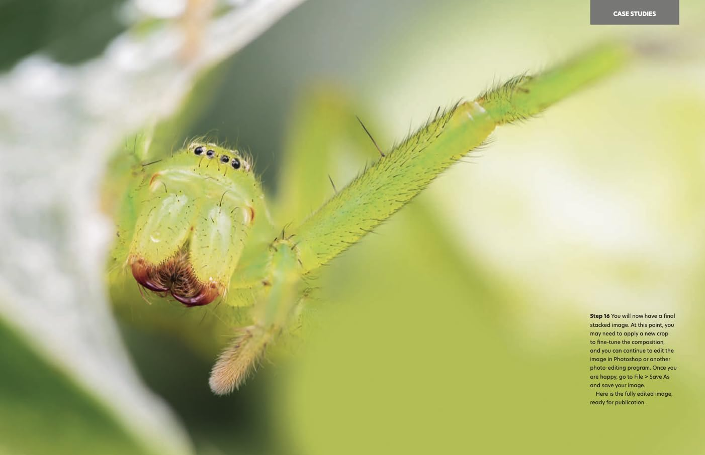 Close-Up: the Complete Guide to Macro Photography image number 4