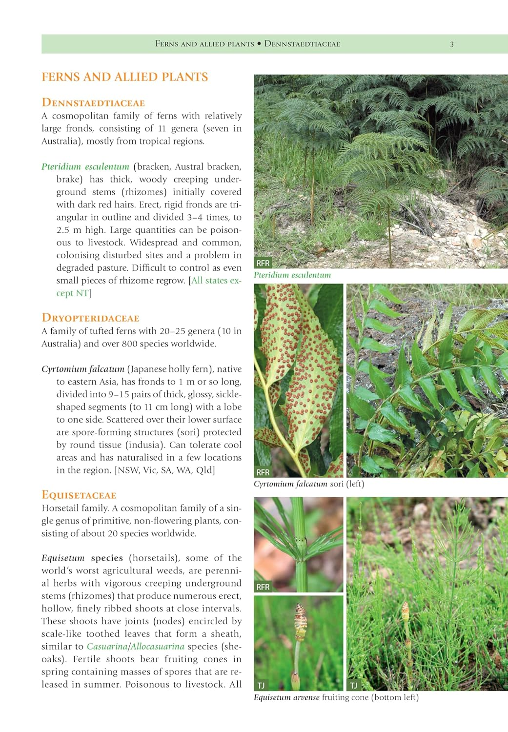 Weeds of the South-East: an Identification Guide for Australia image number 3