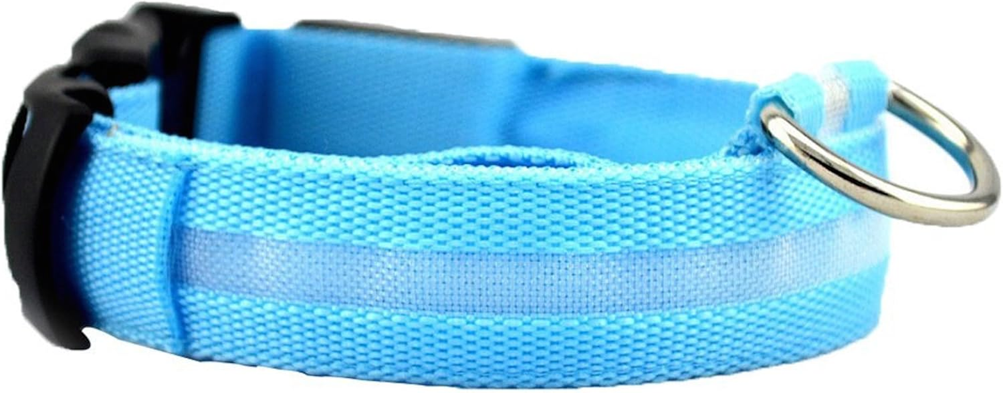 NEO+ UK SELLER ! Improved Dog Visibility & Safety USB Rechargeable LED Dog Safety Collar. Ultra-Bright Led'S. Connects to Devices. Dog Will Be More Visible & Safe (BLUE SIZE XL)