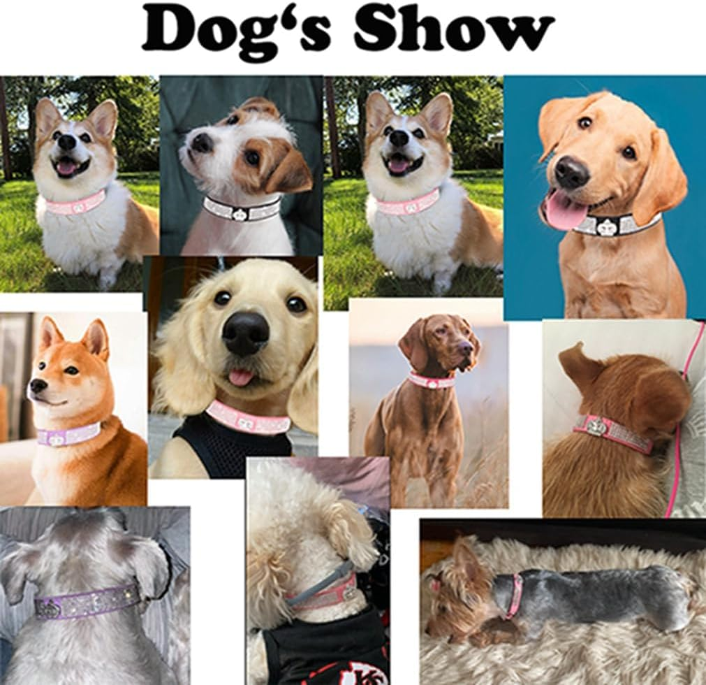 Small Dog Collar Crown Rhinestone Pretty Glitter Crystal Puppy Collars for XXS XS Medium Pet Girls Boys Dogs Female Cats Kitten Black M image number 2