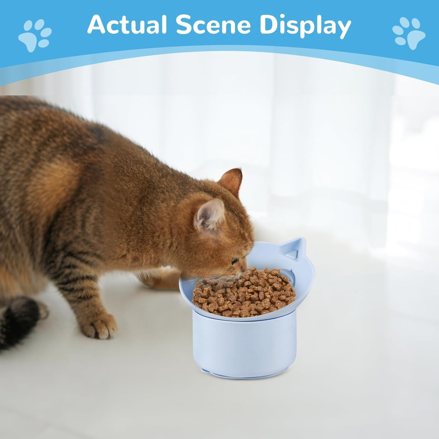 2 Pack Slow Feeder Cat Bowls &ndash; Elevated Tilted Silicone Pet Bowls Adjustable Angle (15&deg;/30&deg;), Dishwasher Safe &ndash; Pink & Blue (Healthy Eating, Vomit Prevention) ﻿ image number 6