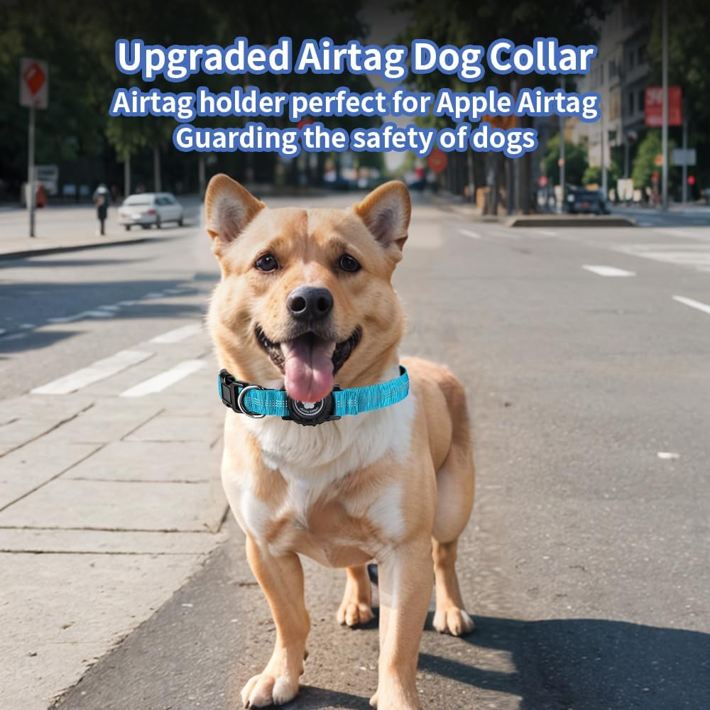 Reflective Air Tag Dog Collar with Waterproof Apple Airtag Holder for Small Medium Large Dog Locking Buckle Havey-Duty Nylon Dog Collars Blue XS image number 6