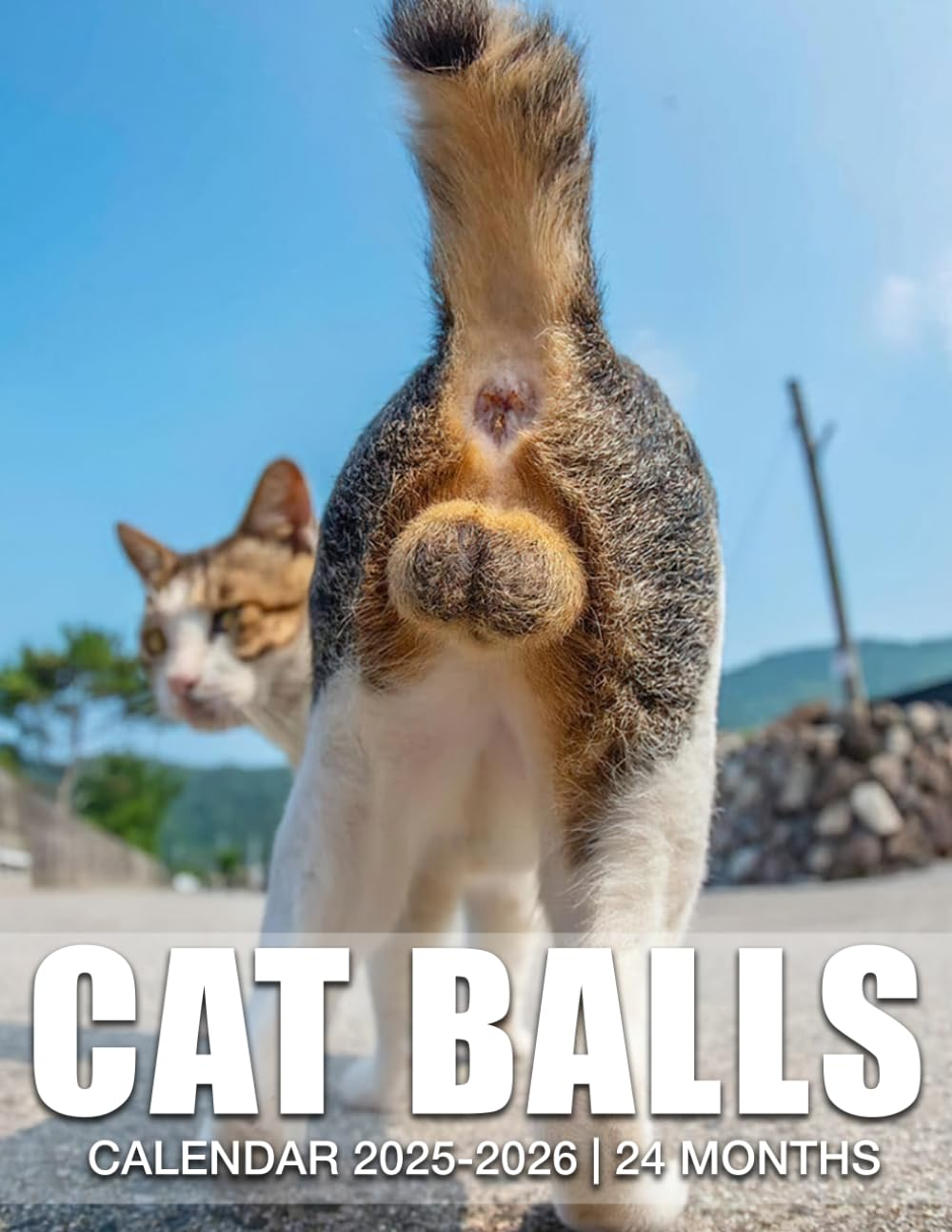 Cat Balls Calendar 2025 - 2026: 24 Months Jan 2025 to December 2026, 17" X 22" Opened, Thick & Sturdy Paper, Great Gift for Organizing & Planning, US Holidays
