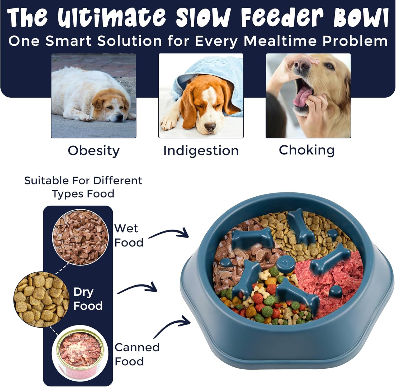 Slow Feeder Dog Bowl for Small, Medium & Large Dogs &ndash; Maze Design Encourages Slow Eating & Healthy Digestion &ndash; Non-Slip, Easy to Clean, Food-Grade PP Material &ndash; Blue image number 3