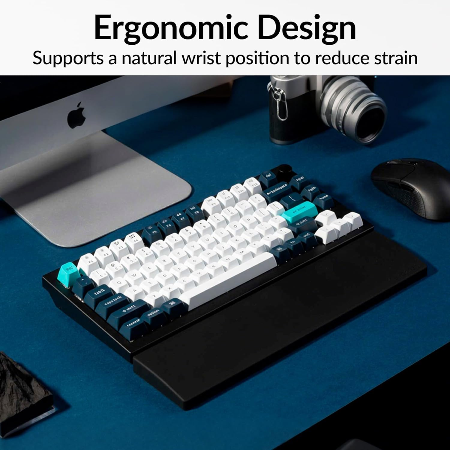 Keychron Silicone Palm Rest Black, Ergonomic Wrist Rest for Mechanical Keyboard V1/V1 Max/V2/V2 Max/Q9/Q1/Q1 Pro/Q1 HE/Q1 Max/Q2/Q2 Pro/Q2 Max/Q2 HE/P1/P1 PRO/P1 HE (PR47)