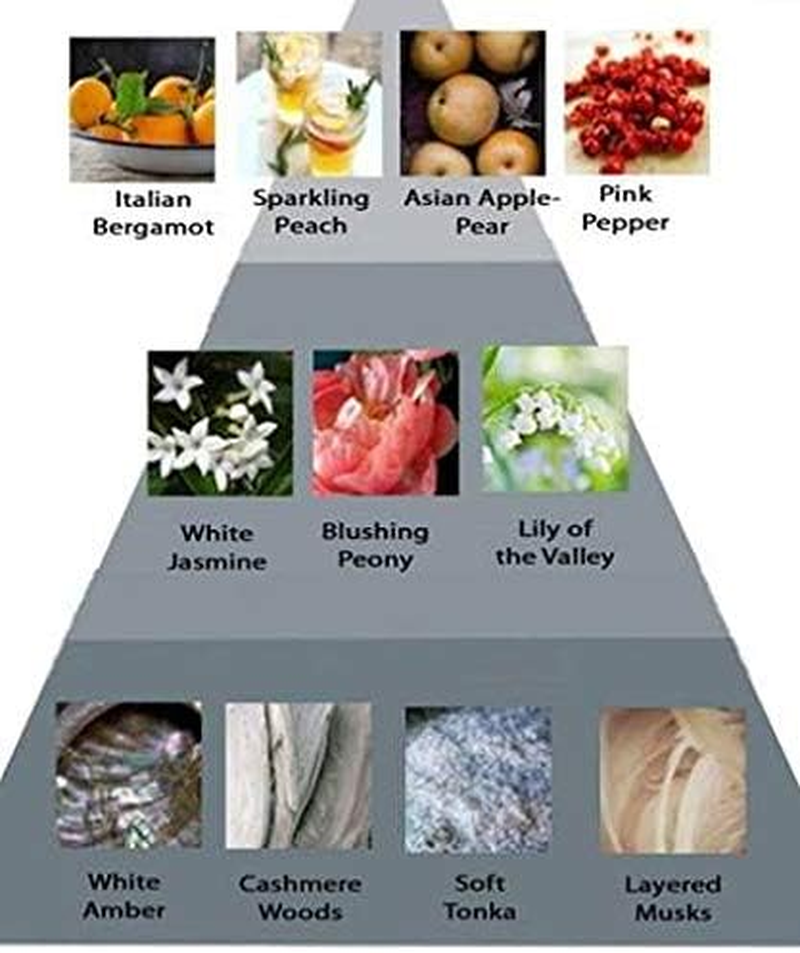 Perry Ellis 360 Coral for Women, 8.0 Fl Oz Body Mist image number 2