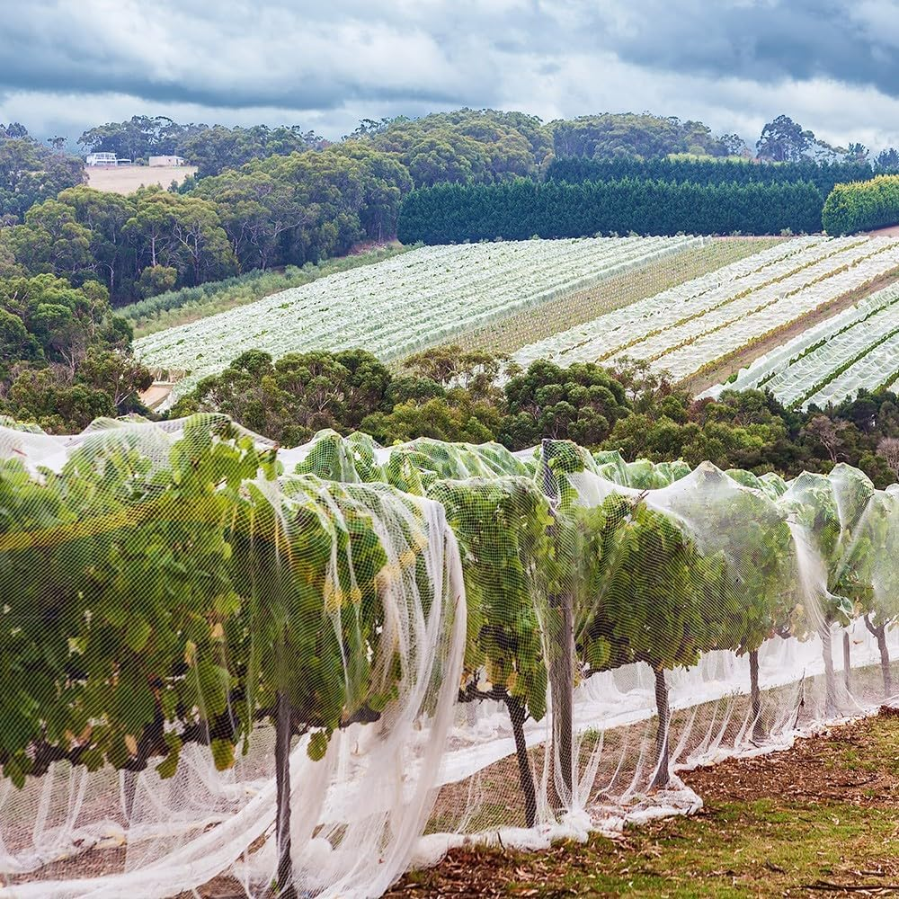 Abshade Commercial Birdnet, Black, 5 X 100 Meters image number 1