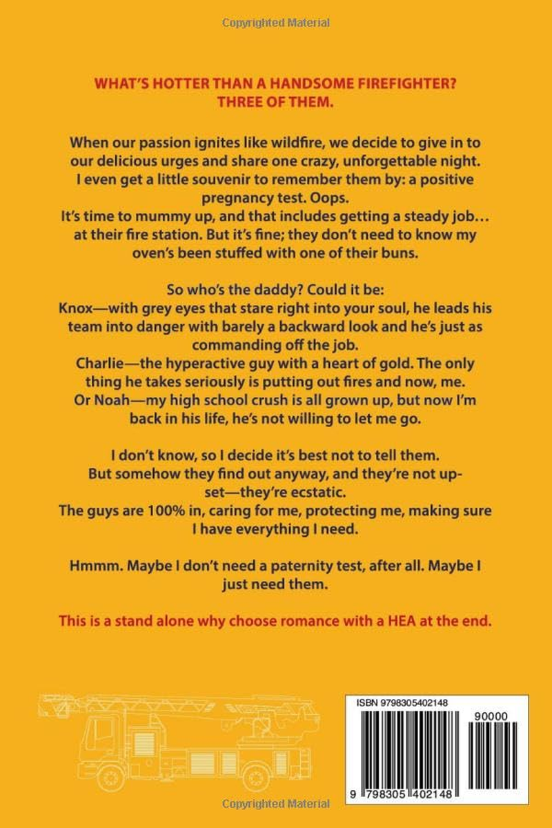 Set Me on Fire: a Why Choose Rom Com Romance