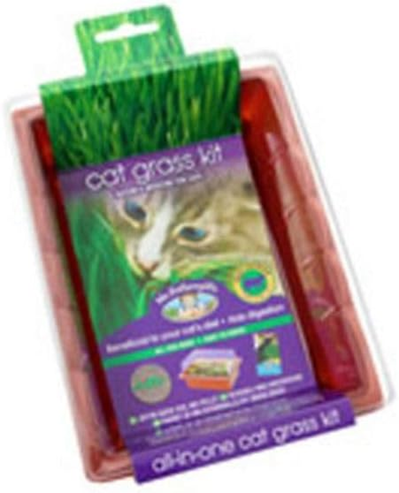 Mr Fothergill'S CATG01 Cat Grass Sprouting Kit