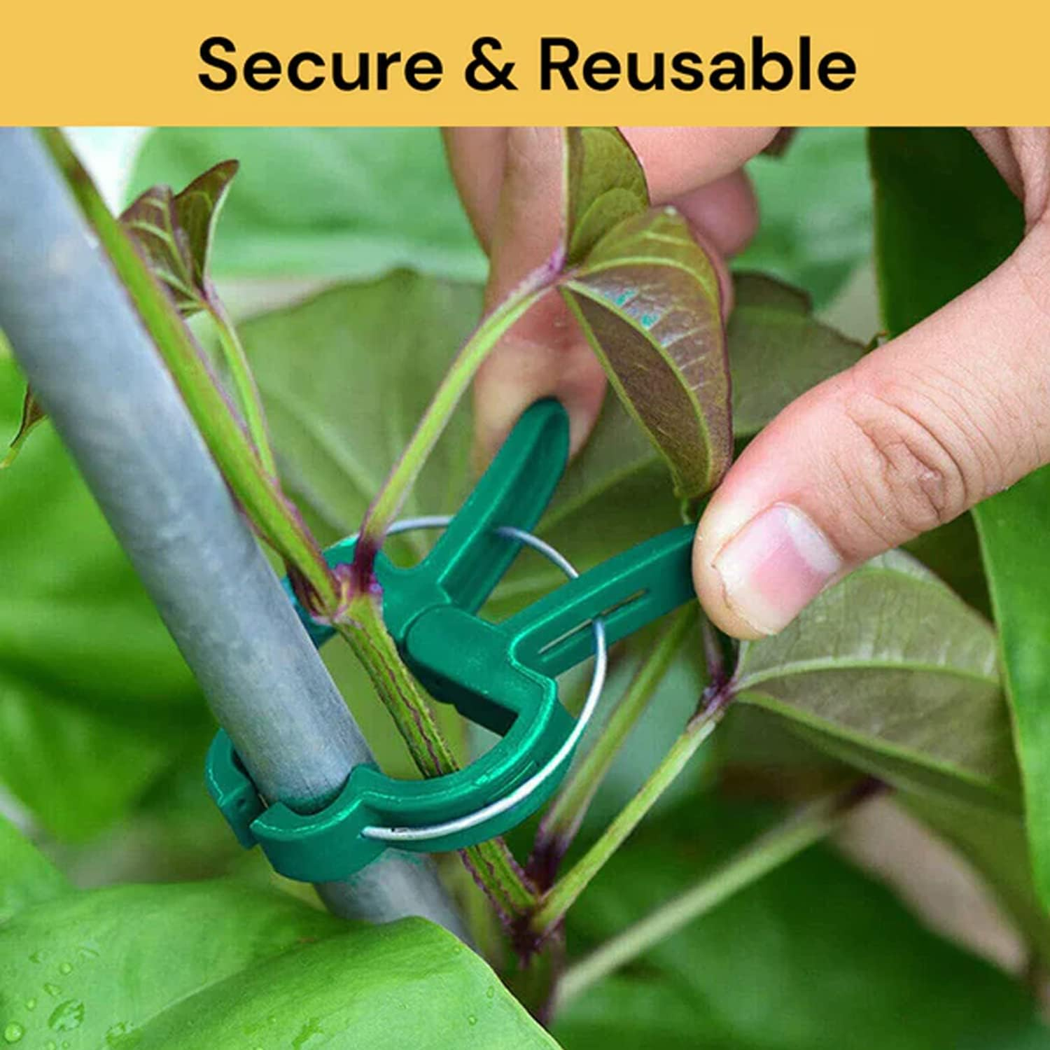 EZONEDEAL Plant Ties Reusable Garden Tape with 20Pcs Plant Clips Reusable Adjustable Thicker Support for Growing Strong Grip Gentle Plant & Flower Clips for Supporting Stems image number 2