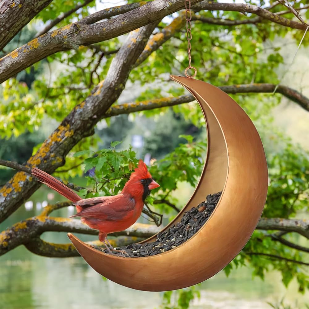 Hanging Crescent Moon Planter & Bird Feeder &ndash; Metal Hanging Decor with Drain Holes, Rust-Resistant Antique Gold Finish &ndash; Unique Moon Decor for Succulents, Air Plants, or Birdwatching image number 4