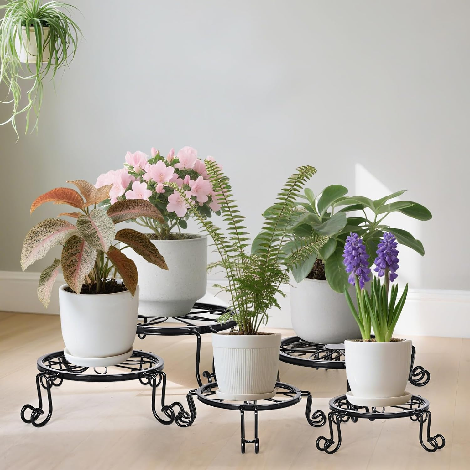5 Pack Metal Plant Stands, Ditind Rustproof Iron Potted Stand Holder for Outdoor Indoor, Heavy Duty Flower Pot Stands for Multiple Plant, Plant Pot Shelf, round Supports Decor Racks for Garden Home image number 5