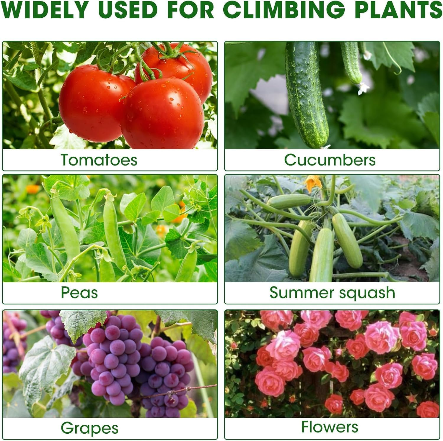 Cucumber Trellis for Raised Bed,U-Shape Garden Trellis for Climbing Plants Outdoor, Metal Arch Vegetables Trellis, Plant Support for Vine (Green, 120X120 X55Cm)