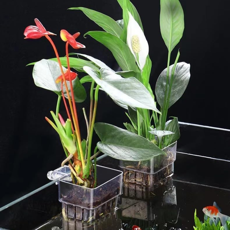 2 Pcs Clear Aquarium Plant Holder,Aquarium Planter Cups for Emersed Plants,Hanging Planter with Hole,Suitable for Aquatic Plant Cultivation and Water Feature Decoration image number 1