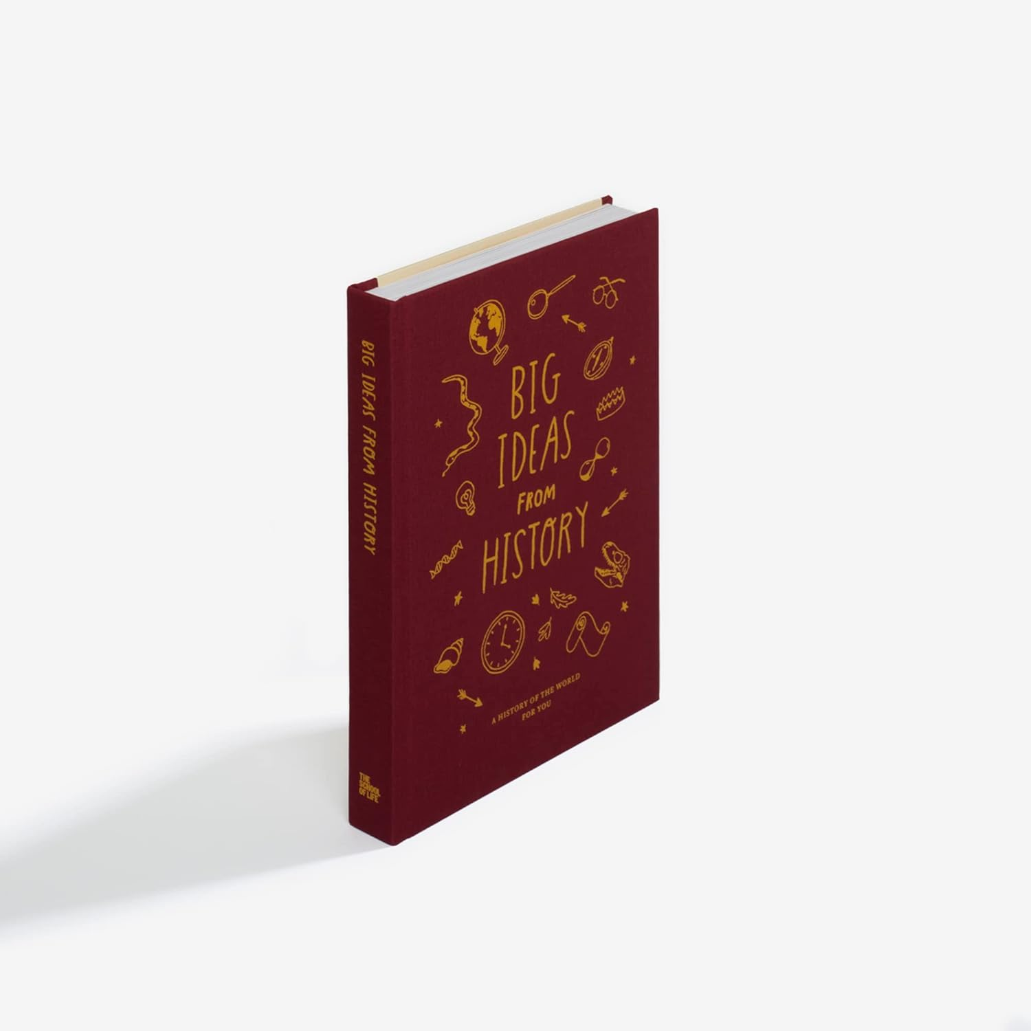 Big Ideas from History: a History of the World for You