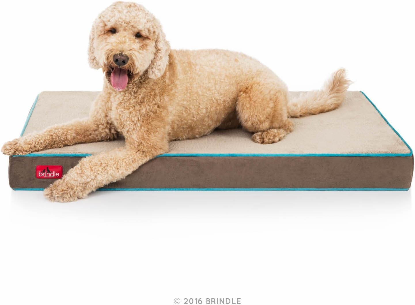 BRINDLE Waterproof Memory Foam Pet Bed - Removable and Washable Cover - 4 Inch Orthopedic Dog and Cat Bed - Fits Most Crates