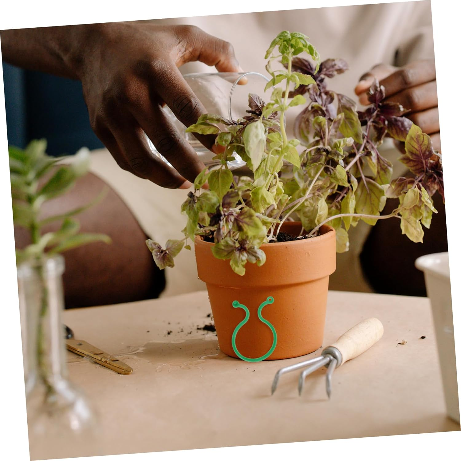 100Pcs Sturdy Plant Support Clamp Greenhouse Seedling Clip Garden Fixing Clips for Vine and Flower image number 1