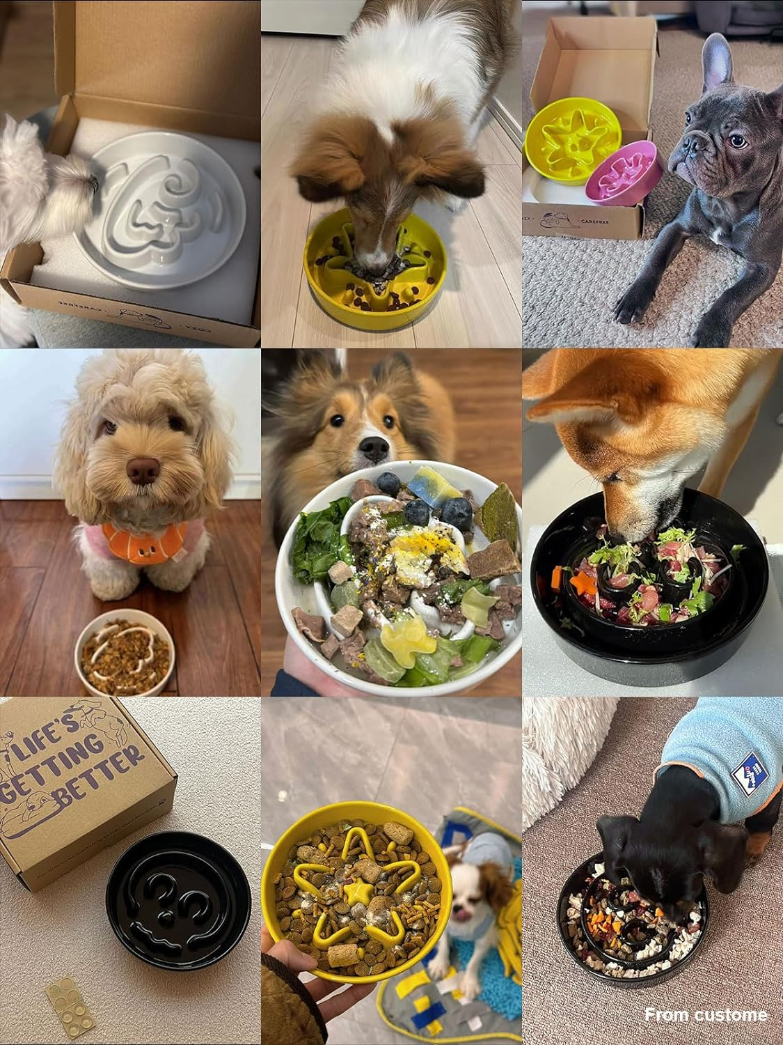 LE TAUCI Ceramic Slow Feeder Dog Bowls Small Breed, 0.6 Cups Dog Food Dish for Fast Eaters, Puzzle Bowl for Small Dogs and Cats,Skull Black image number 5