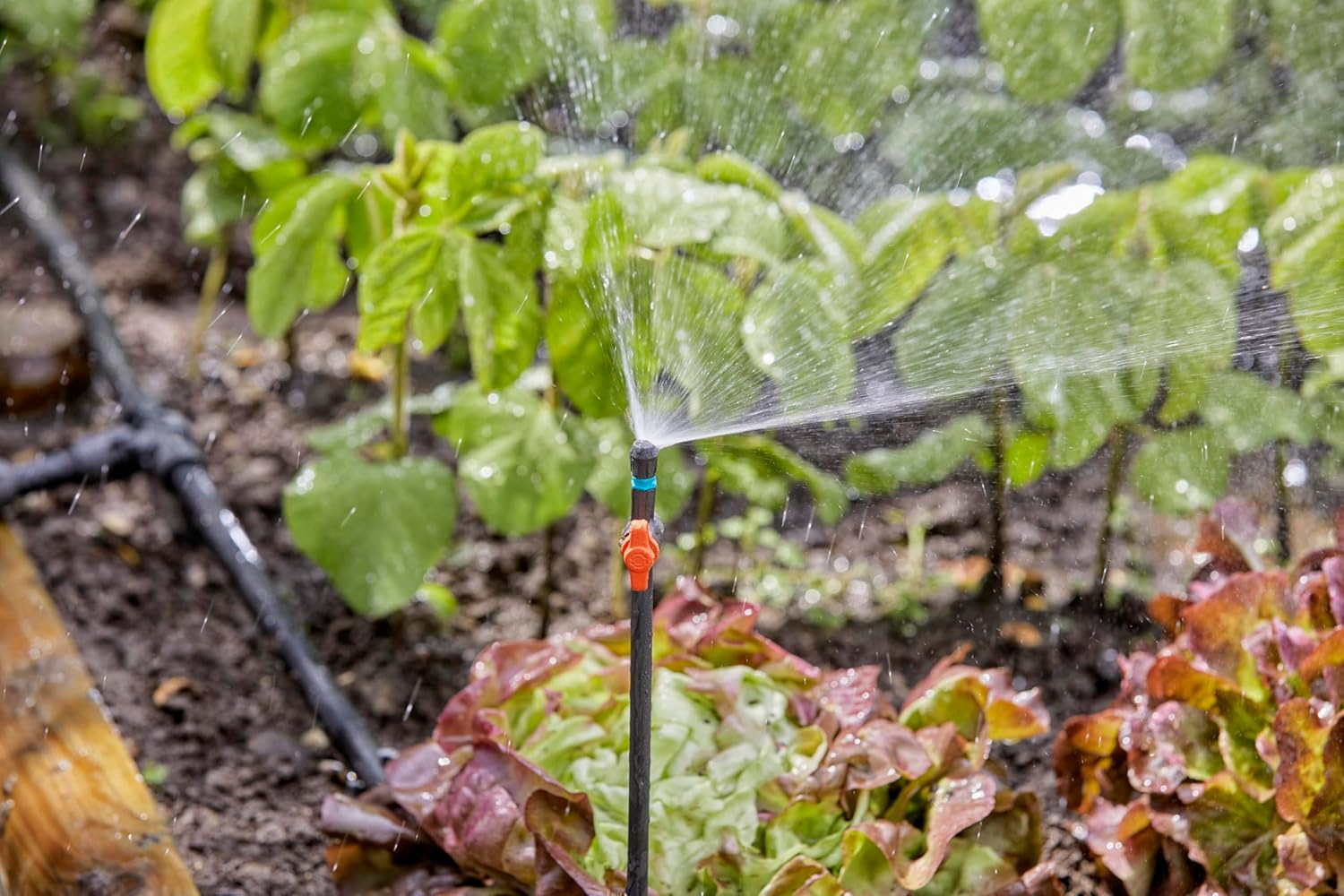 Gardena Micro-Drip-System Extension Pipe for Spray Nozzles: 20 Cm Pipe for Extending Nozzles, for the Automatic Irrigation System, Simple Connection Technology (13326-20)