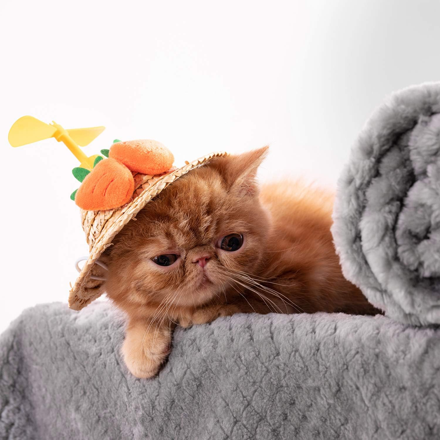 Warm Soft Fuzzy Dog or Cat Blanket, Plush Fleece Throws for Puppy, Kitten, Bed, Couch, Sofa, Travel (L/40" X 48", Grey)