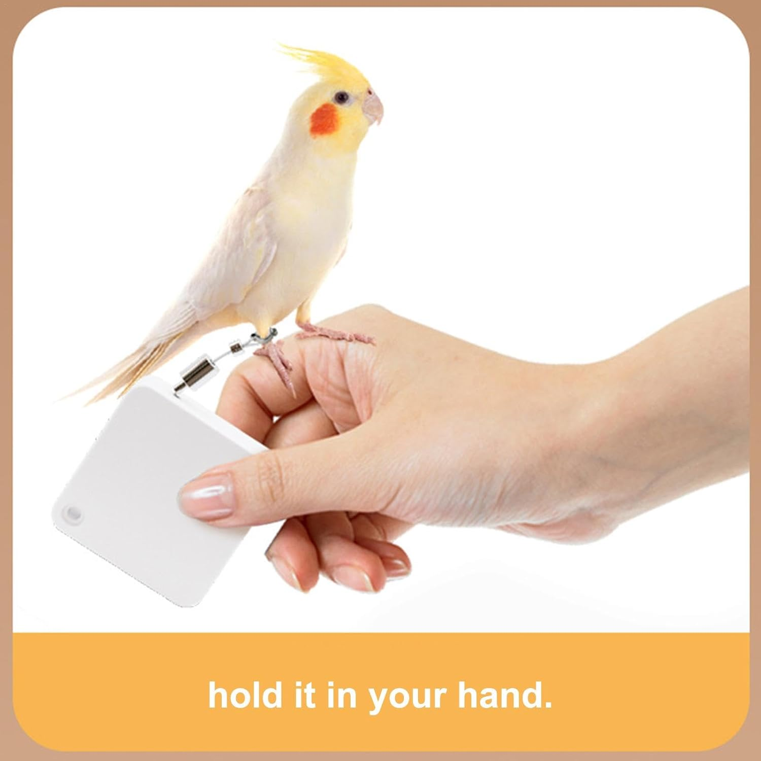 Cockatiel Harness and Leashes - 2M Portable Conures Bird Leashes - Soft Foot Ring Bird Flying Harness, Adjustable Traction Rope for Budgies, Cockatiels, Psittacula - White image number 4