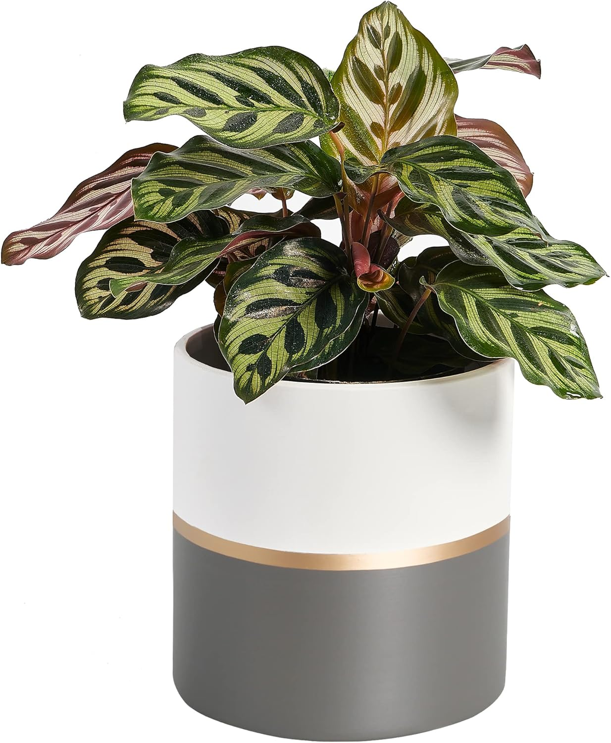 Planter Plant Pots Indoor - 6.7 Inch Modern Ceramic Flower Pot with Drainage Hole for Home Office Decoration (White Black)(Plant Not Included)