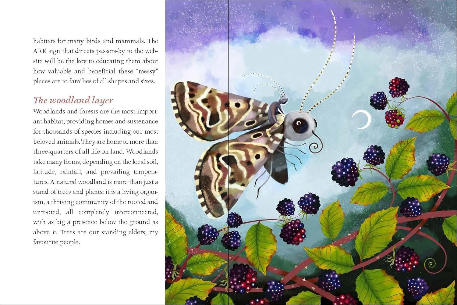 We Are the ARK: Returning Our Gardens to Their True Nature through Acts of Restorative Kindness - Hardcover image number 6