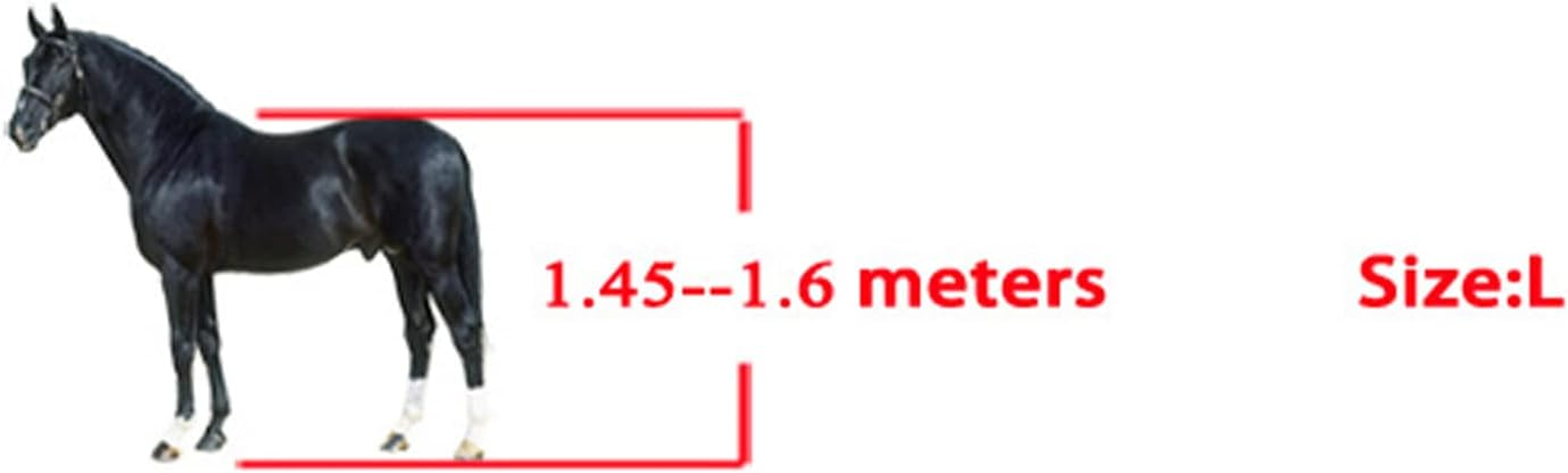 Horse Leg Boot, Comfortable Prevent Slipping Horse Tendon Boots Set for Horses image number 5