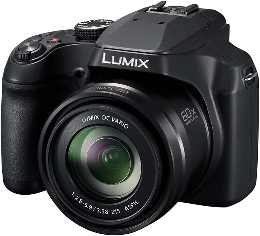 Panasonic LUMIX Compact Bridge Camera, 18.1MP 60X Zoom 4K Photo with 20Mm Wide-Angle Lens, (DC-FZ80DGN-K) image number 5