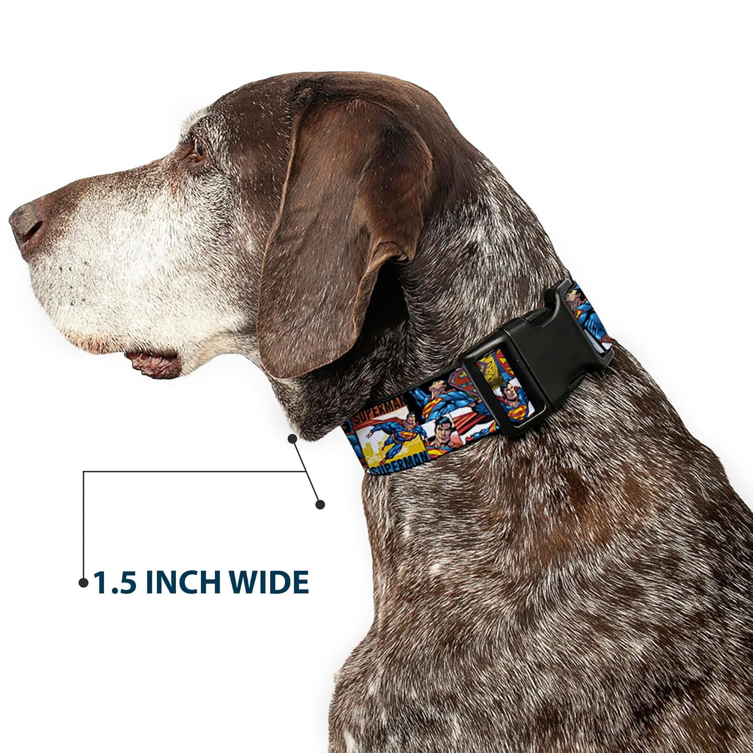 Buckle-Down Plastic Clip Dog Collar, Superman Action Blocks White/Multicolour, 8 to 12 Neck Size X 0.5 Inch Width image number 2