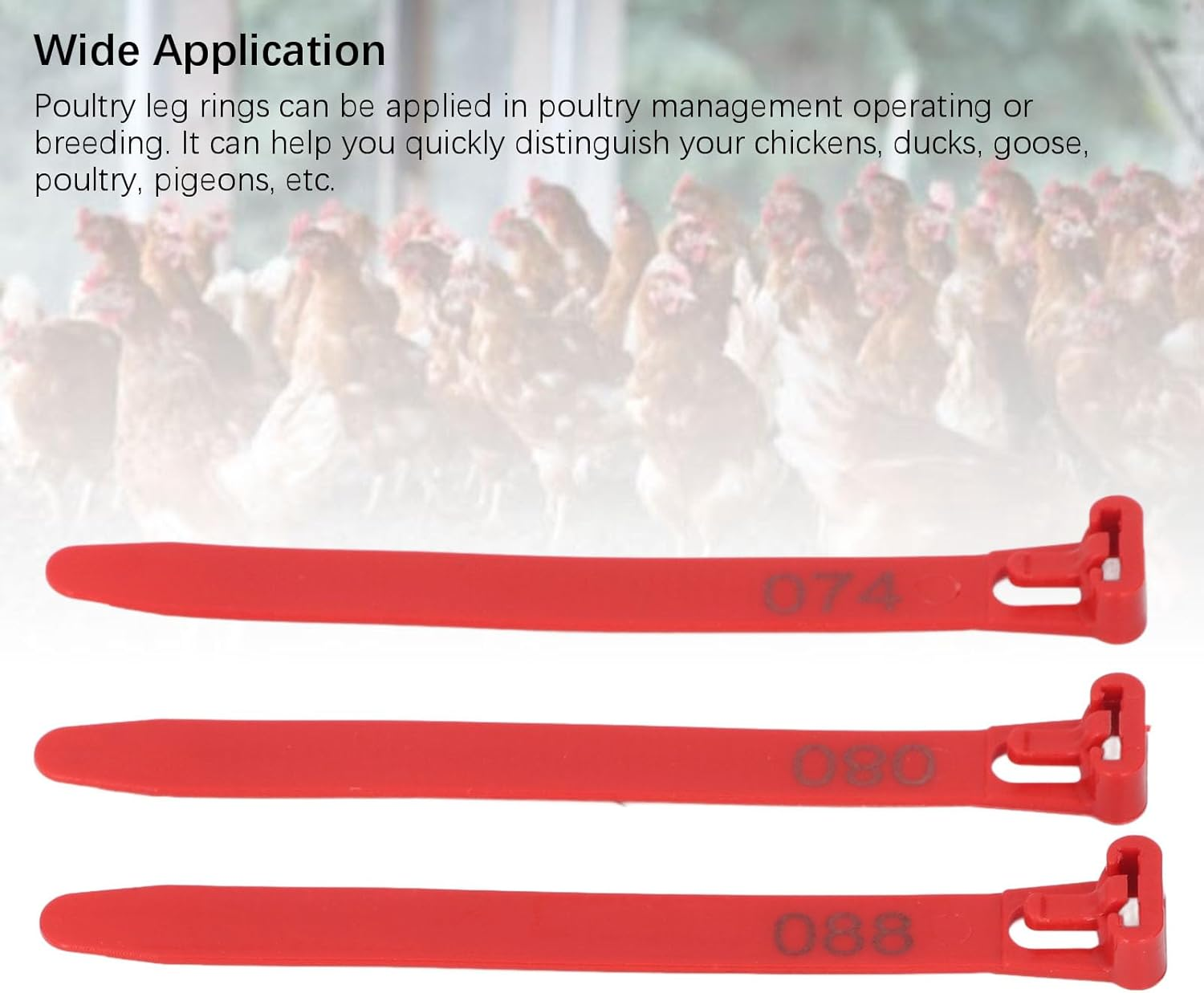 Generic Chicken Leg Rings, 1 to 100 Numbered, Red, Poultry Bands, 100 Count - Orange, Opening Size: 7-15Cm / 2.8-5.9In image number 7