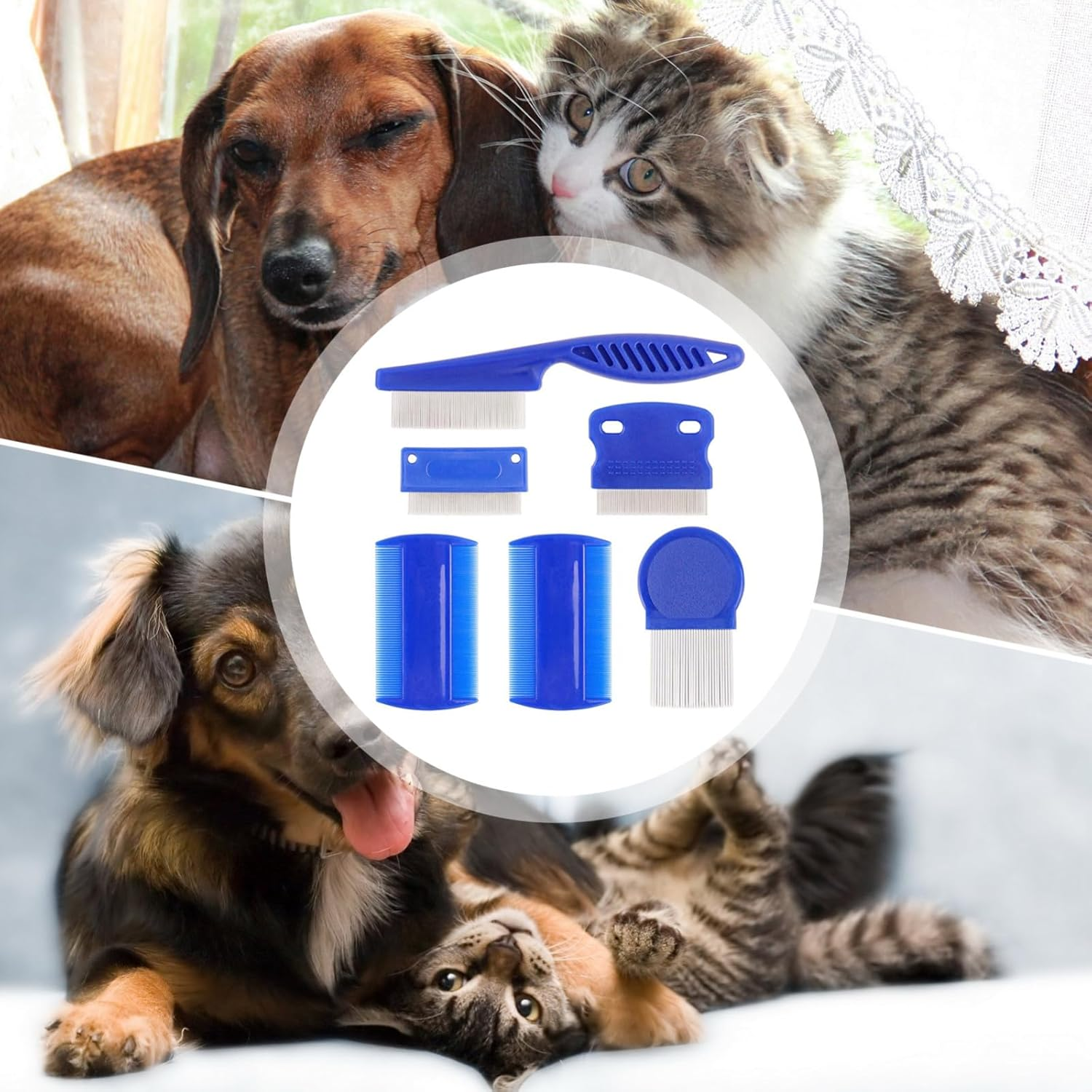 Dog Grooming Comb Pet Care Flea Comb for Cat Dog Pet Stainless Steel Comfort Flea Hair Comb Flea Tick Comb 6Pcs 1Set image number 4