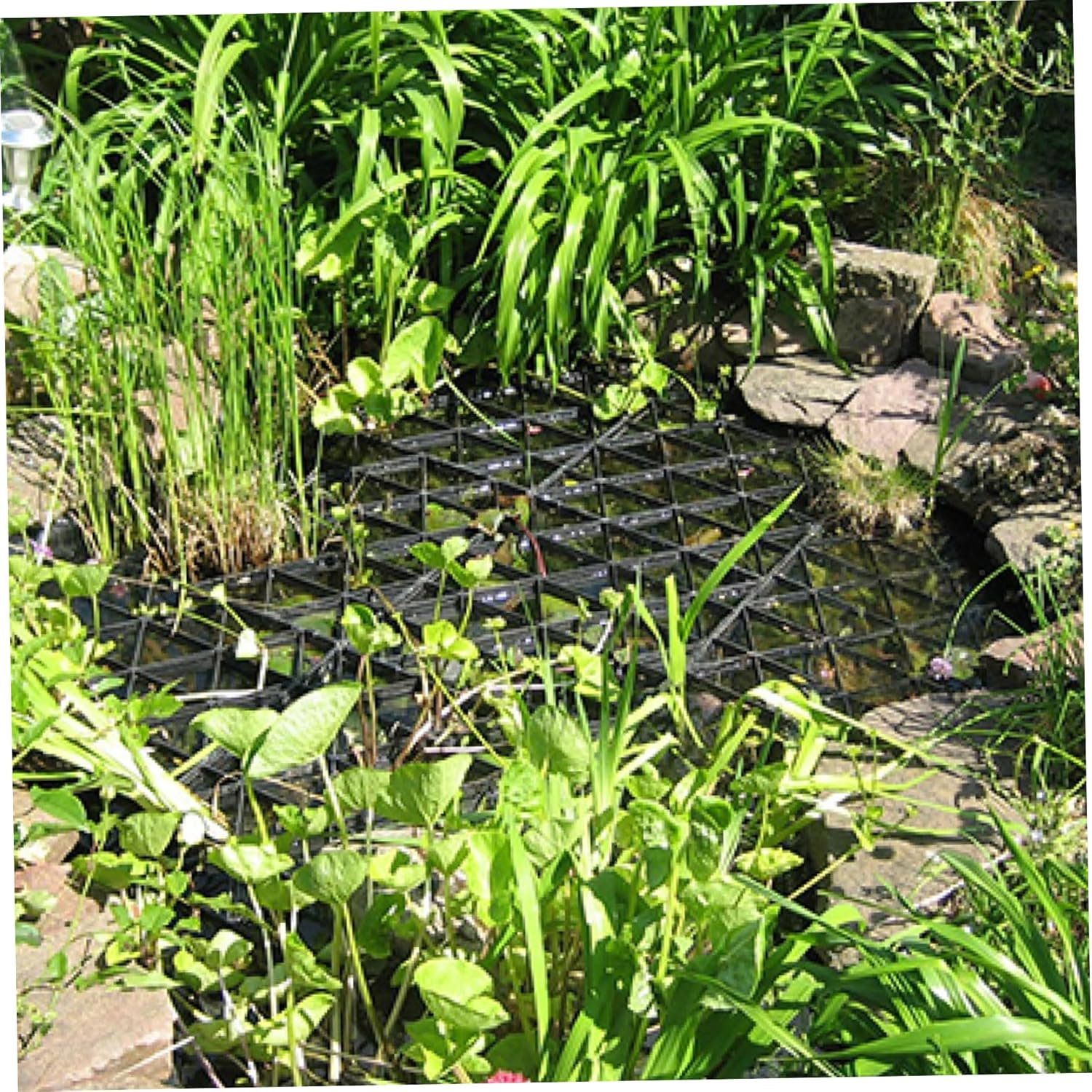 Pond Netting for Koi Ponds, 20Pcs/Set Hexagonal Pond Guard Pond Cover, Floating on Water Plastic Pond Net, Easy Installation Koi Pond Accessories Resist Herons Crows Pond Covers for Outdoor Fish