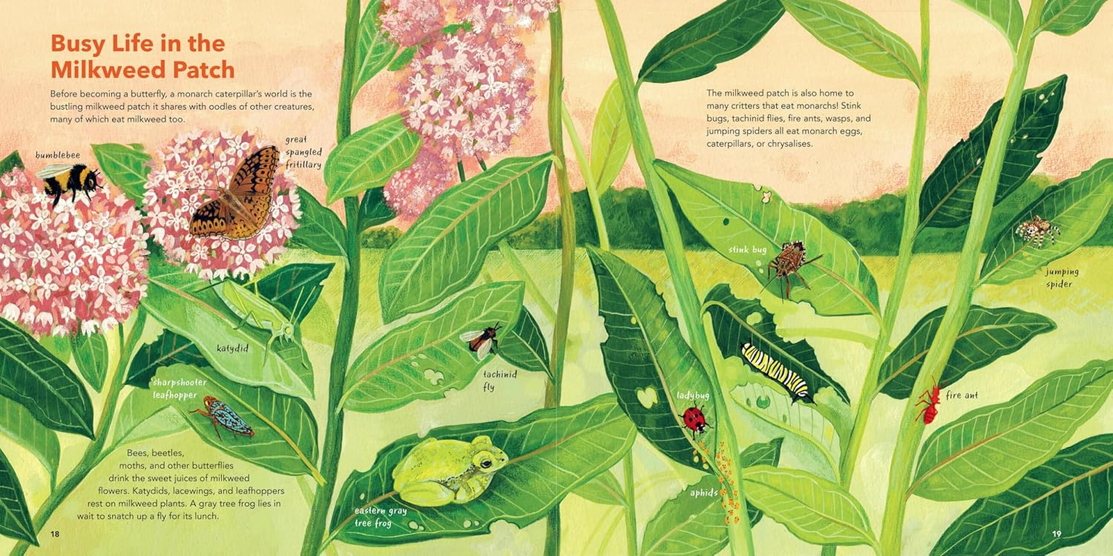 Monarch Butterflies: Explore the Life Journey of One of the Winged Wonders of the World image number 1