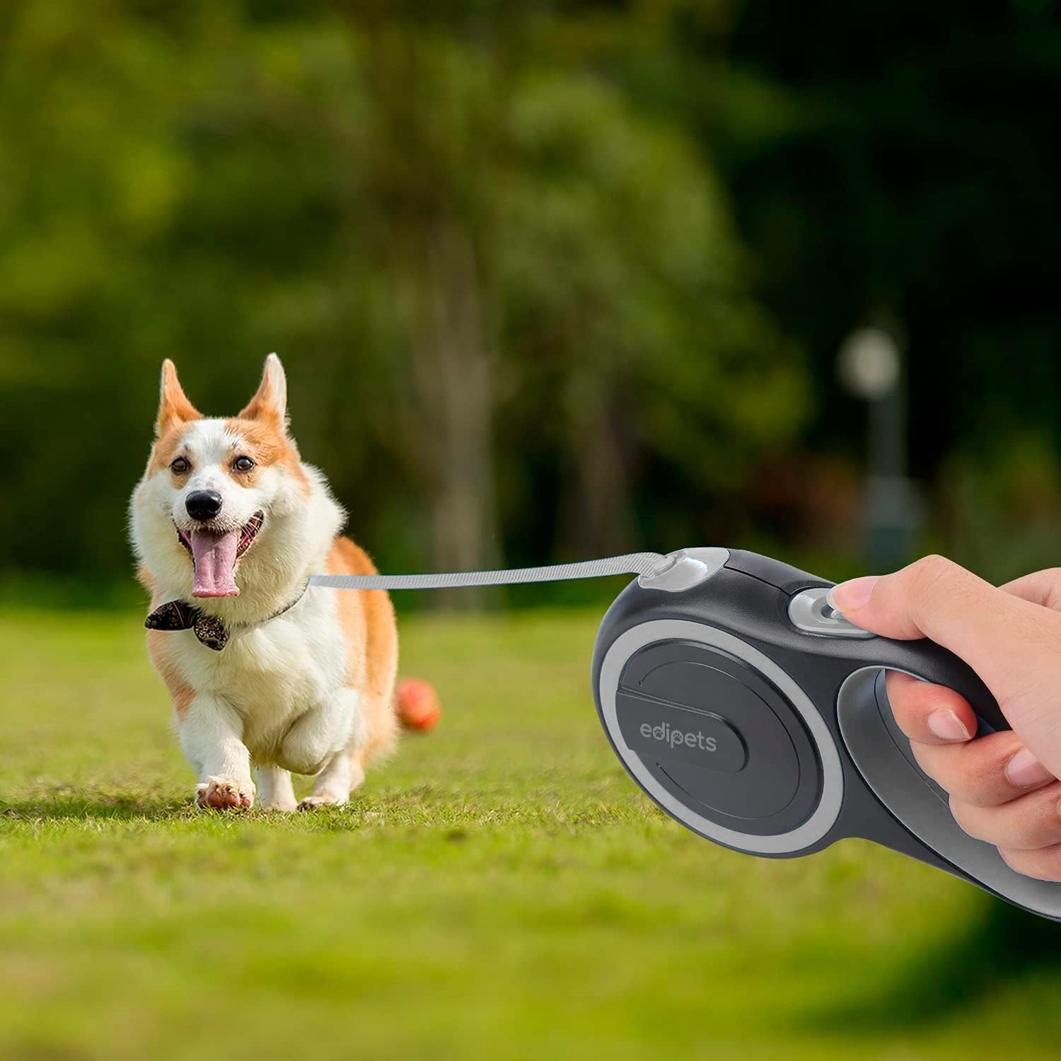 Edipets, Extendable Retractable Dog Lead, 3, 5 and 8 Metres, Flexible Band for Right and Walking, Dog Leash, Reel Leash, Flexible Lead, Retractable (Grey, 8 Metres) image number 5