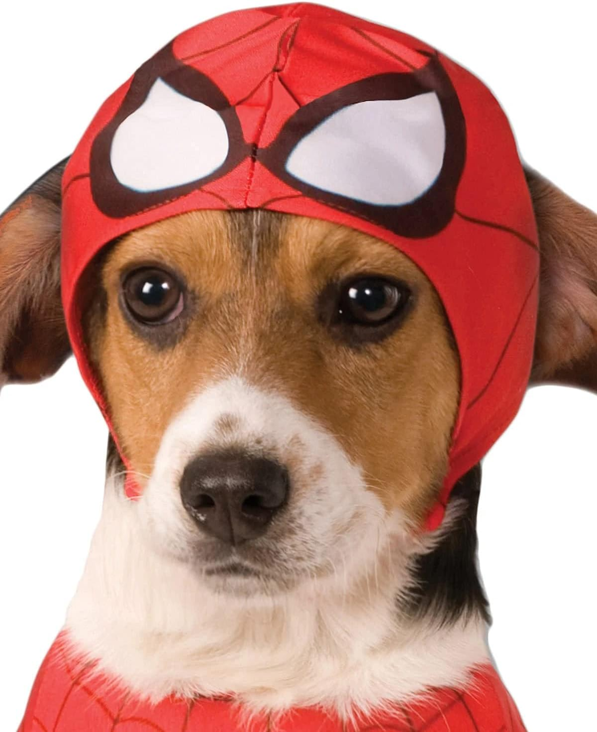 Rubie'S Marvel Classic Spider-Man Pet Costume, Red; Blue image number 3