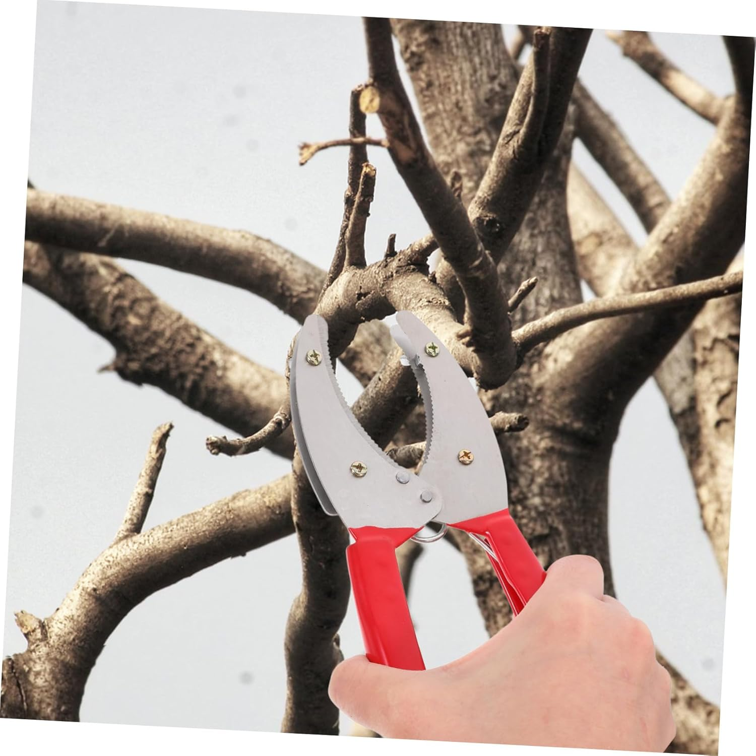 Mipcase Girdling Cutter for Fruit Trees Compact Hand Tool for Plant Stripping and Bark Cutting Lightweight Fruit Planting Tool for Orchards and Gardens image number 1