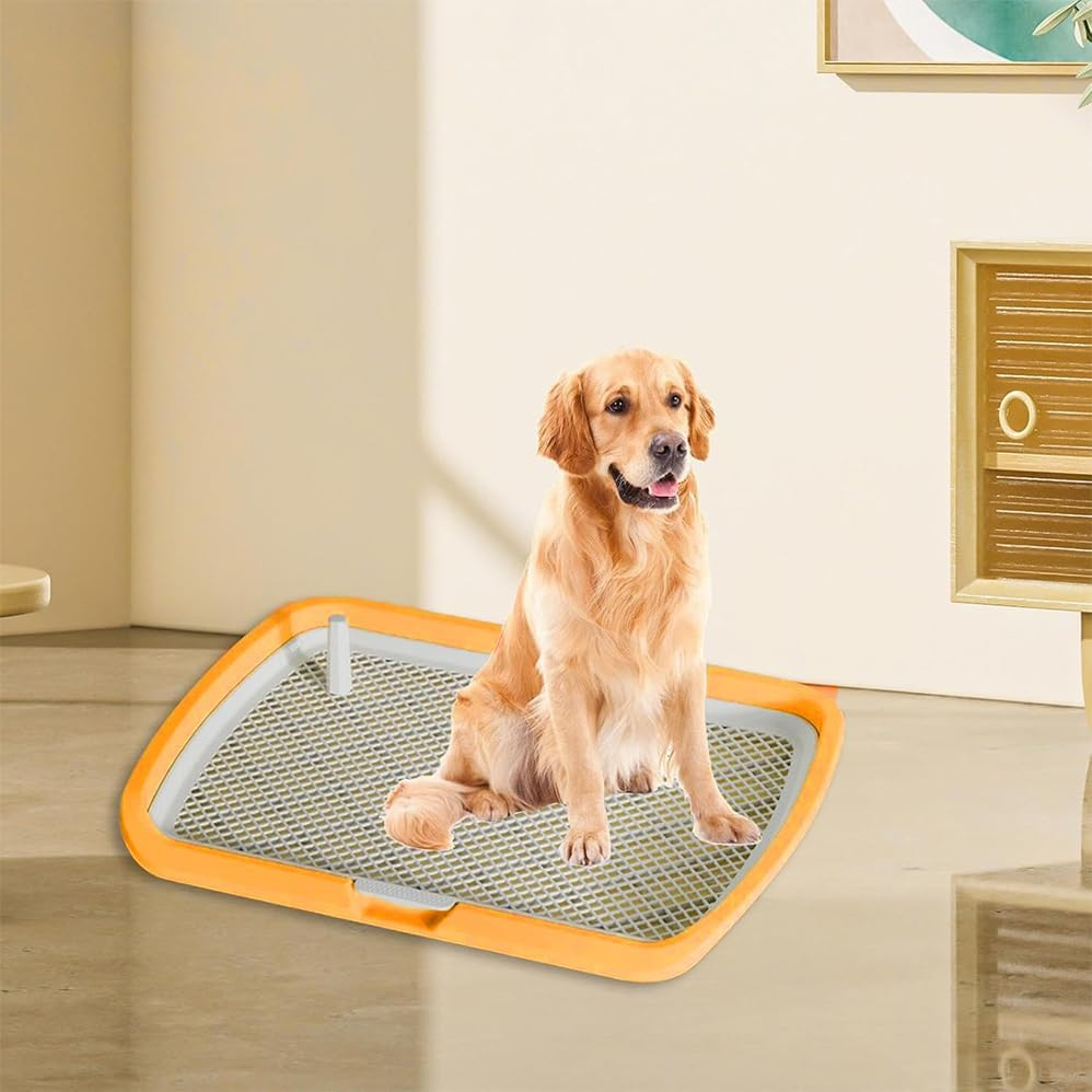 Puppy Dog Toilet,Dog Potty Tray Toilet,Pee Mesh Training Tray,Pet Training Toilet Pee Pad Holder for Dogs Doggy,Litter Tray, Low Entry,Open Top Box, Reusable for Indoor Outdoor,Yellow. image number 3